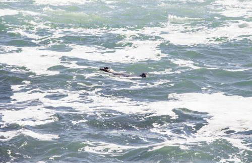 Villa Trouz Ar Mor - Foto 30