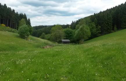 Ferienwohnung Schmallenberg - Foto 42