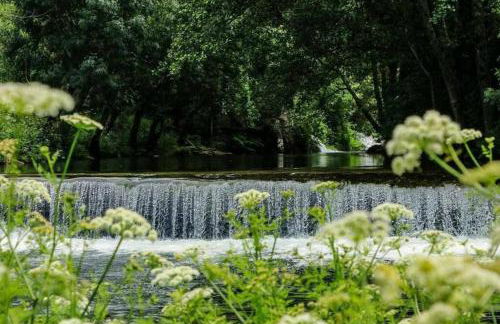 Regouro - an Hidden Gem in Douro Valley - Foto 47