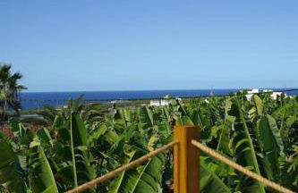 The Tortuga Banana House - Foto 6