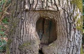 Ferienwohnung Jo Secco - Foto 32