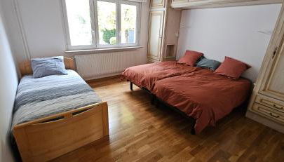 Escapade ville et nature à Strasbourg - Foto 4