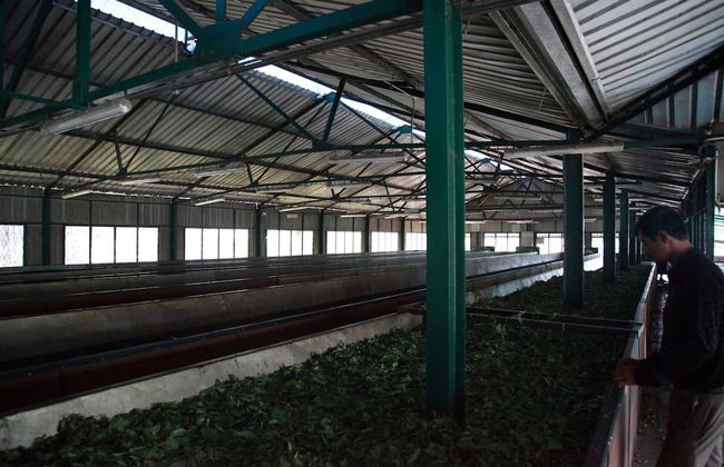 Explore Central Srilanka - Foto 45