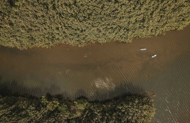 Kauai Plantation Hale Hotel - Foto 104