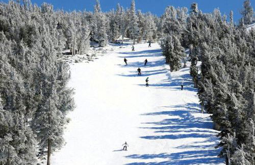 Marriott Timber Lodge Luxury Studio - Foto 51