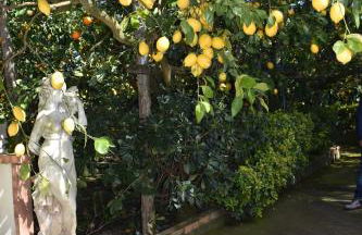 De Gregorio - Foto 8