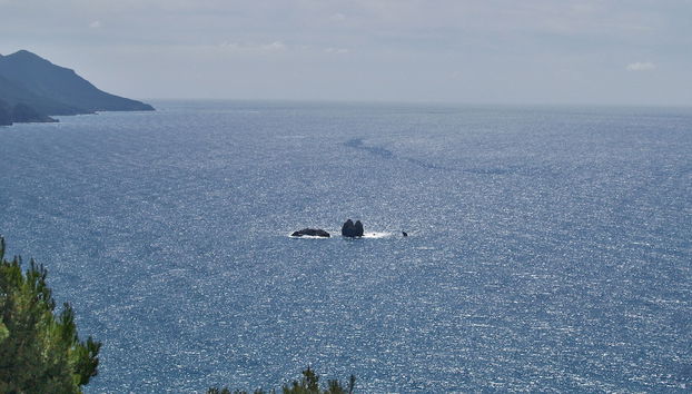 Studio Apartments With Swimming Pool and sea View - Pelekas Beach - Foto 5, Playa