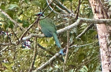 Casa para relaxar em Chapada dos Guimarães - Foto 31