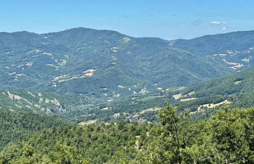 Da Santina - Photo 4