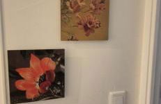 Cosy Rez jardin 1 chambre plage parking wifi - Foto 4