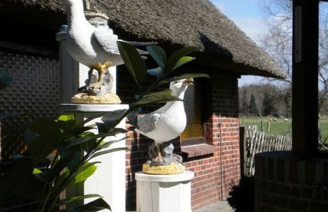 Strandnelke Modern Retreat - Foto 8