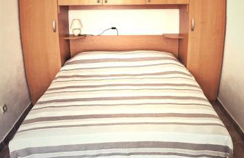 Ruzicin dvor - Photo 36