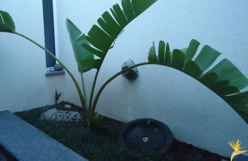 A Casa Estrelícia-Dourada Garcês - Foto 50