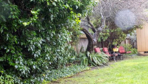 Private Home - #RedwoodSkyWalkRetreat - 5BD, Pro Pool Table, BBQ, Foosball, Darts, Fireplace, Movie Projector, Stereo, Cotton Bedding - Foto 4