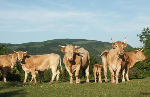 Agroturismo Mari Cruz - Foto 48