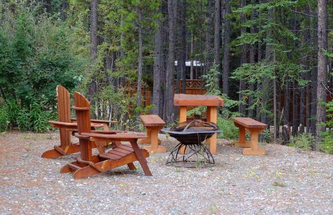 Yukon Pines - Photo 22