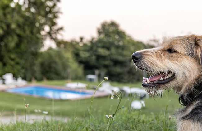 Cascina il Faggio - Photo 13