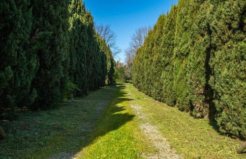 Rosaspina - Appartamento 2 - Foto 23