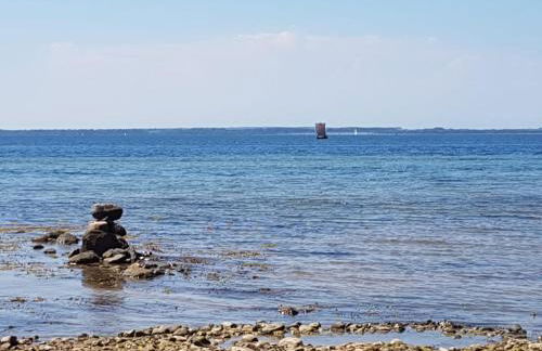 Krabbenfischer - Foto 11