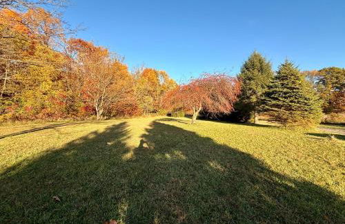 Serene Log Cabin Forest Retreat - Photo 27