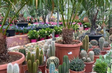 Buena Vista Apartment, 3 bedrooms - Foto 57