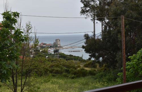 Pansion Fani - Foto 43