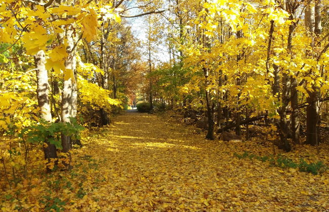 Spacious 4 Room Apartment & Sauna - Photo 31