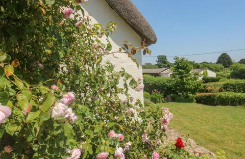 Langstone Farm - Photo 60