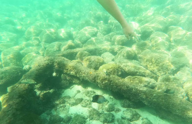 Snorkeling at Las Gatas Beach - Photo 3