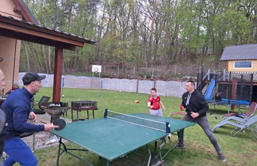 Domek "Rodzinny RELAX" Urlop Gryżyna Podgrzewany basen Klimatyzacja - Foto 36