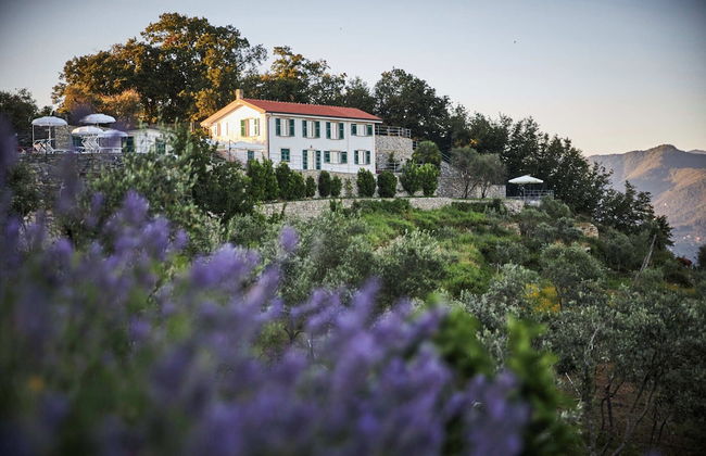 Il Leccio Luxury Resort - Foto 41