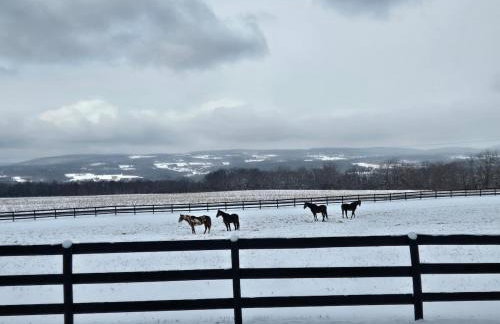 Charming Country Cabin- Cozy, Scenic View, HOT TUB, near CMAC - Foto 39