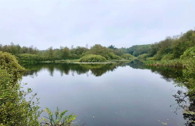 Holiday Home in Ansager - Photo 27