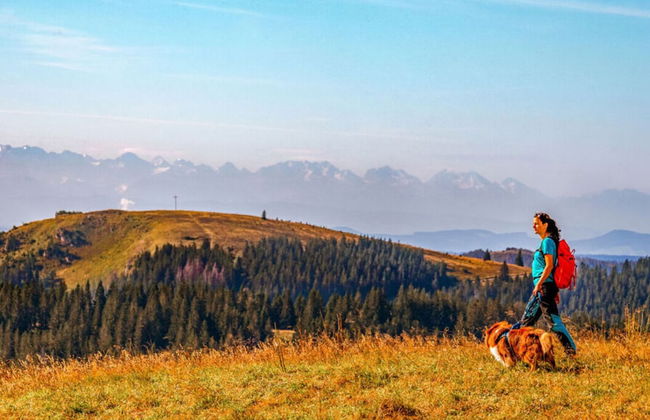 Huis Hochfirst Appartement 20 - Foto 22