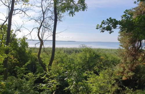 Ferienhof Neuendorfkrug, Lutow - Foto 49