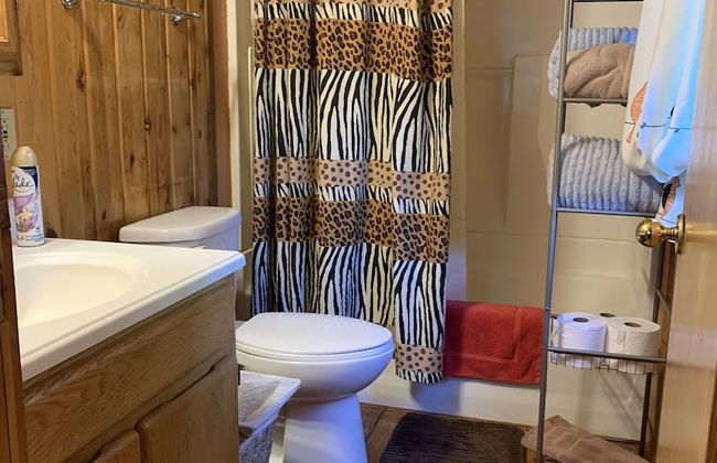 Joy's Kenai River Cabins - Foto 49