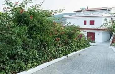 Villa Milena Apartments & Rooms - Foto 10