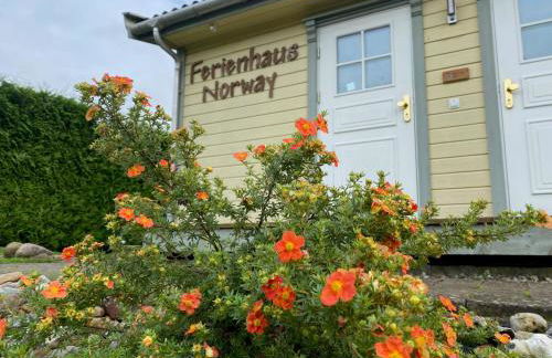 Ferienhaus Norway - Foto 2