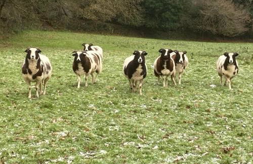 Little Barn - Foto 42