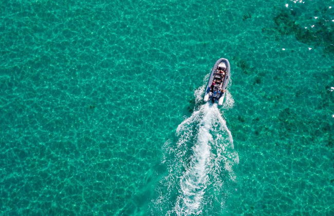 Water Taxi to Lobos Island - Photo 4