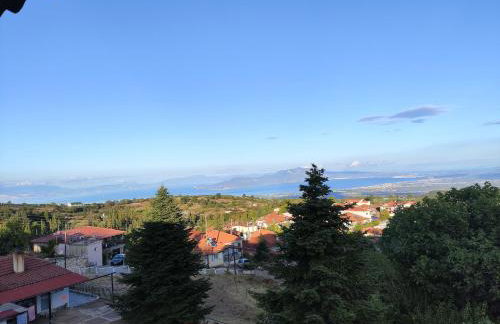 Villa-Τo Petrino - Foto 36