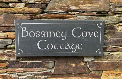 Bossiney Cove Cottage - Foto 8