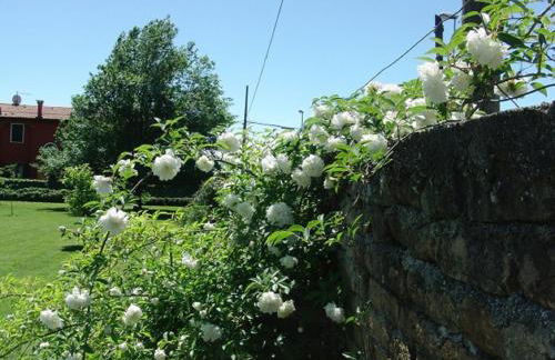 Particolari del Brenta - Photo 57