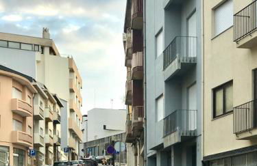 Estrelícia - Foto 28