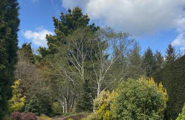 Holly Hayes House - Foto 108