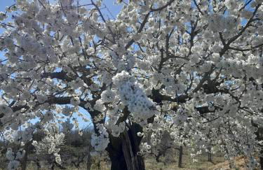 Apartamentos Ca' tio Celso - Foto 66