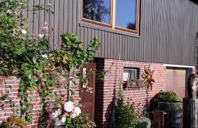 Lüüntjenest - Foto 3