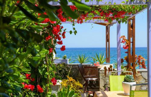 BEACH HOUSE - Foto 6