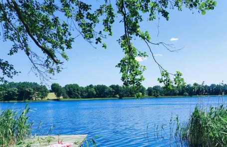 Domki Zaczarowana Łąka Borach Tucholskich - Foto 3
