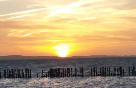 Appartement 6 im Fischerhaus mit Terrasse - Foto 12